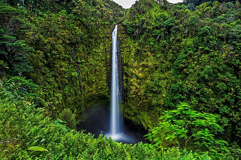 Akaka Falls.