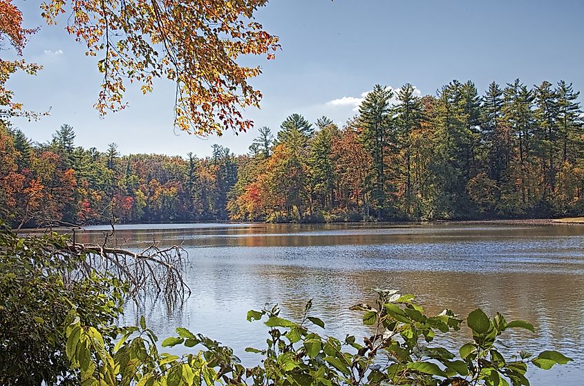 Byrd Lake during autumn in Tennessee.