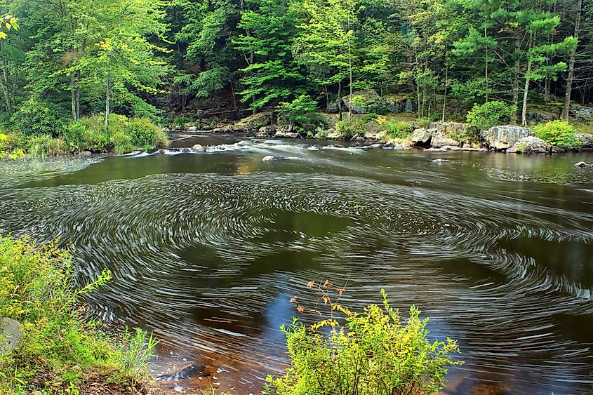  Austin T. Blakeslee Nature Area 