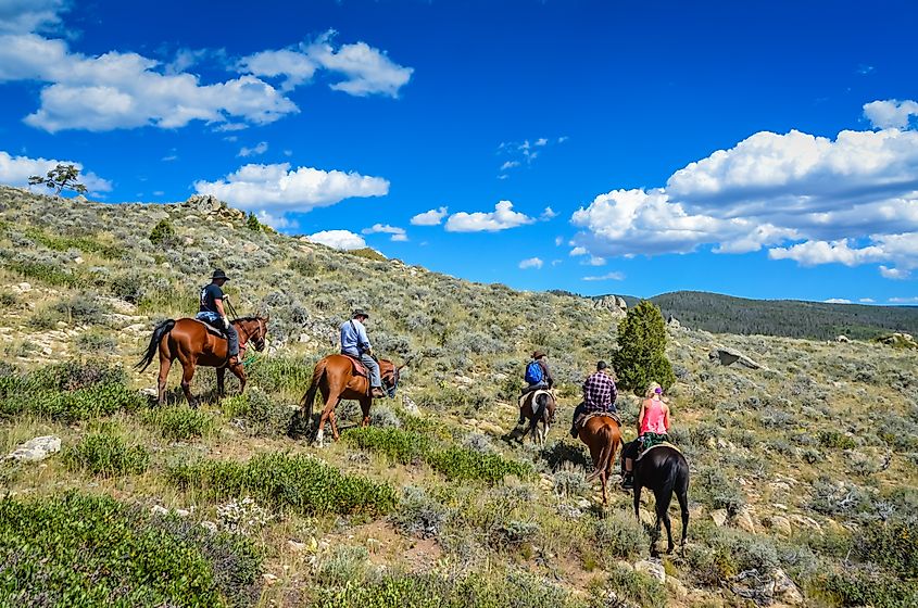 Dude ranching in Wyoming