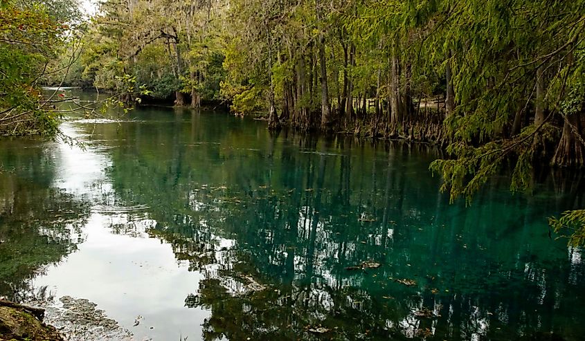 Crystal clear spring water in Manatee Springs State Park in Chiefland, Florida