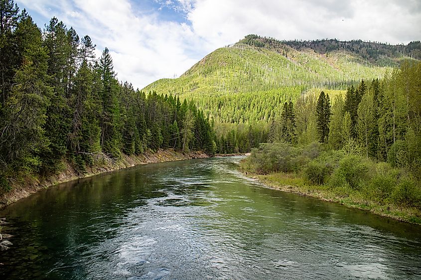 McDonald Creek from the Lake McDonald at the West side of the Glacier national park, Montana, USA.