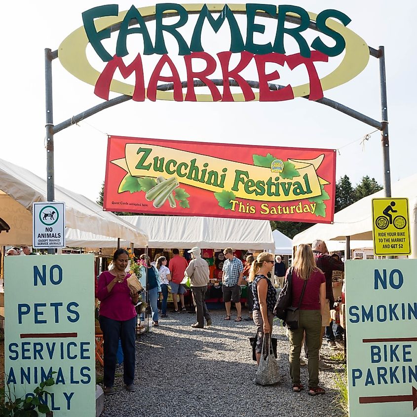 The Zucchini Festival at the Homer Farmers Market.