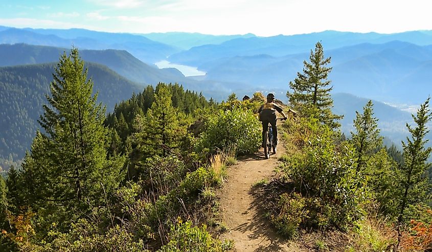 Mountain biking the world famous trails of Oakridge, Oregon.