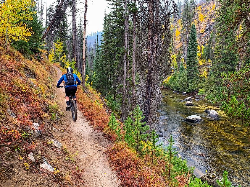 Man mountain biking on the trail to Loon Lake in McCall, Idaho