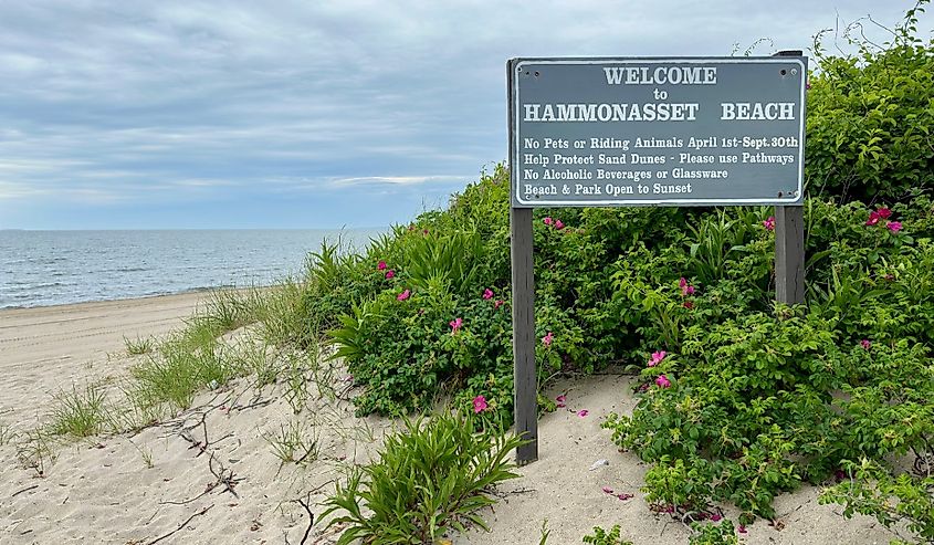 Sign for Hammonasset Beach State Park in Madison, Connecticut.