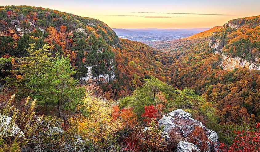 Cloudland Canyon, Georgia, USA autumn landscape at dusk.