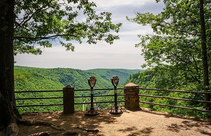 The Pine Creek Gorge, or the The Grand Canyon of Pennsylvania, USA.