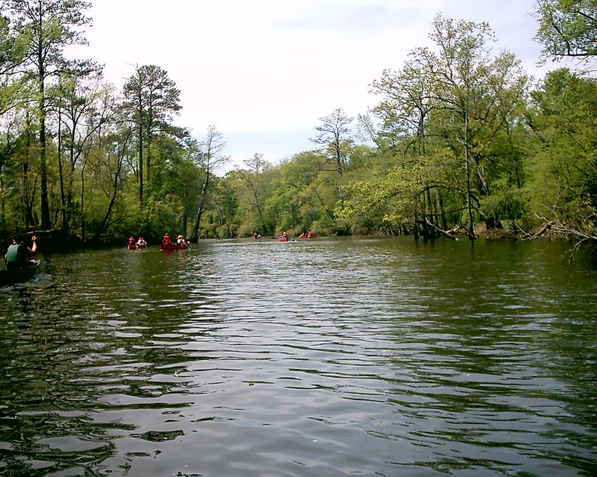 People canoeing on Blackwater River, Virginia.