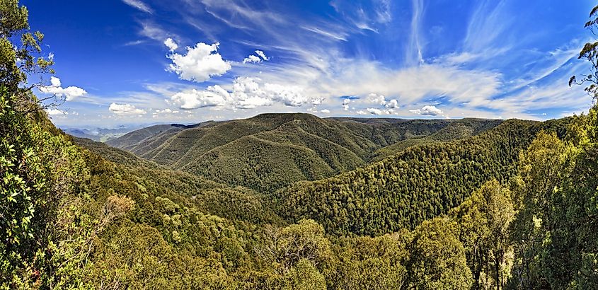 Scenic view from Devil's hole lookout at Barrington Tops National park towards woods covered mountain range and underlying valley on sunny summer day