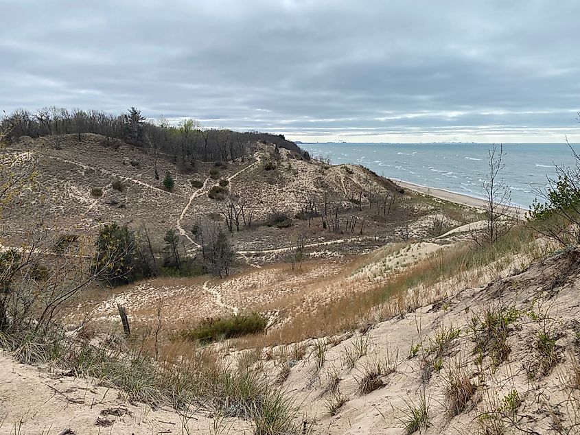 A series of trails leads through a large, grassy dune system beside the lake.