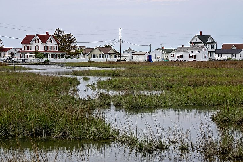 Houses on Tangier Island in Virginia.