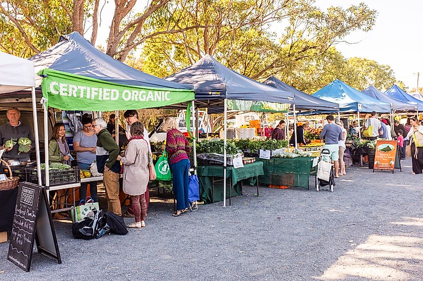 Various stalls selling goods at Byron Bay Farmers Market, Byron Bay, New South Wales