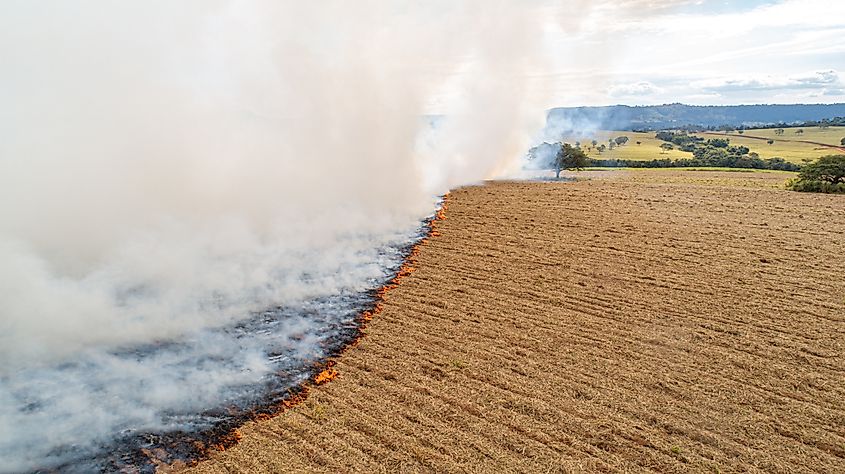 Dry grass burns, natural disaster. Aerial view. A large burnt field covered in black soot. Great smoke from burning places. Brazil.