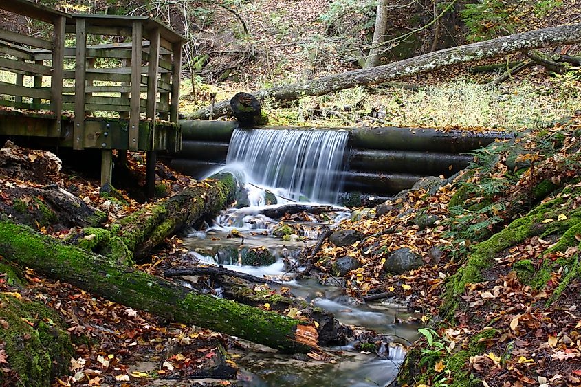 Iargo Springs, Michigan.