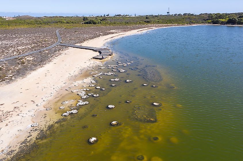 Aerial view of the stromatolites at Cervantes, Western Australia.