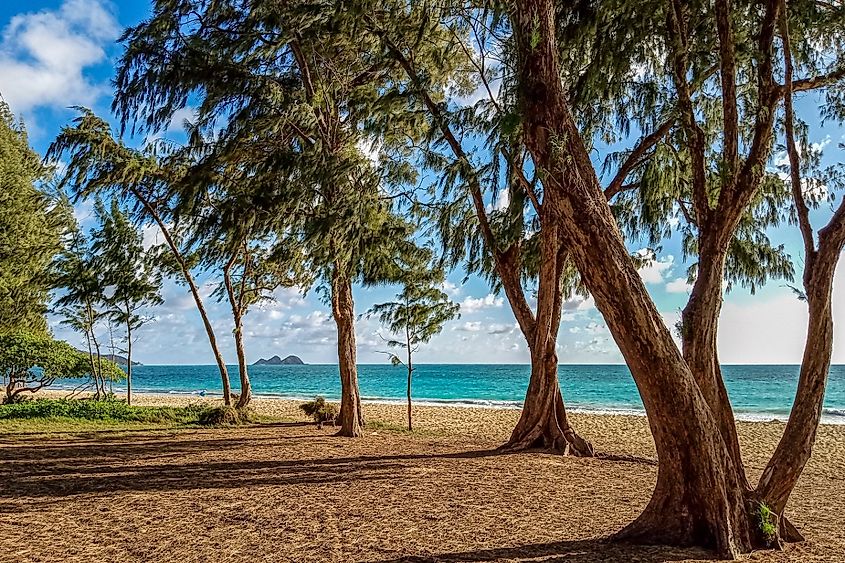 Waimanalo Beach Park, Oahu, Hawaii.