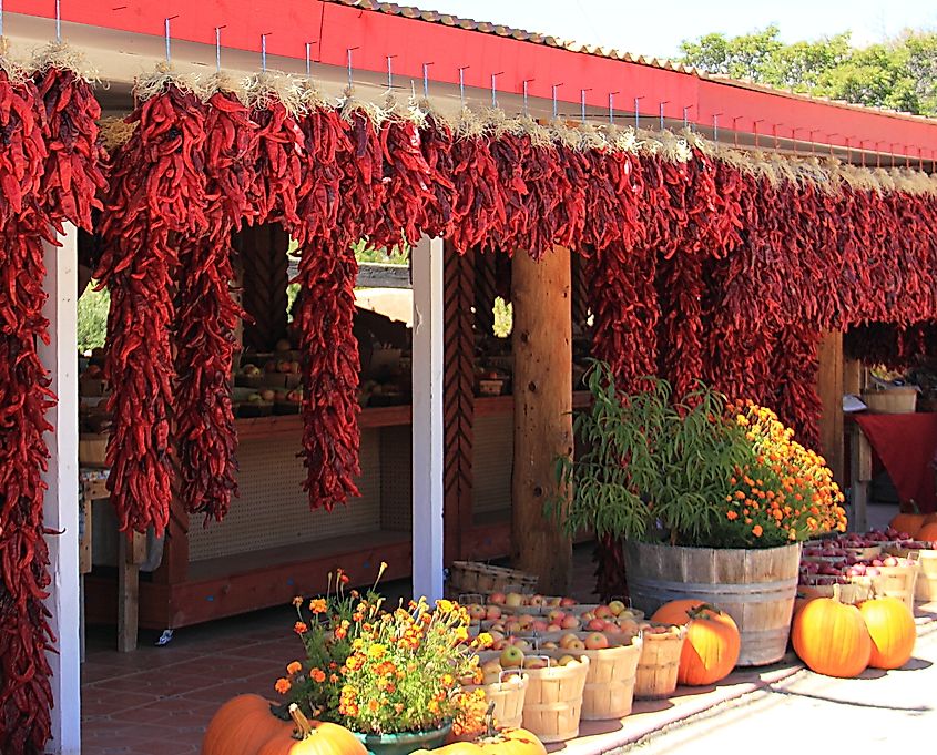 Bunches of dried red chilies strung in front of a store in Taos, New Mexico