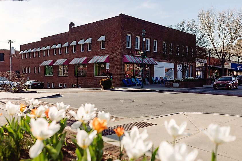 Landscaping design with colorful tulips in Hendersonville, North Carolina. Editorial credit: MILA PARH / Shutterstock.com