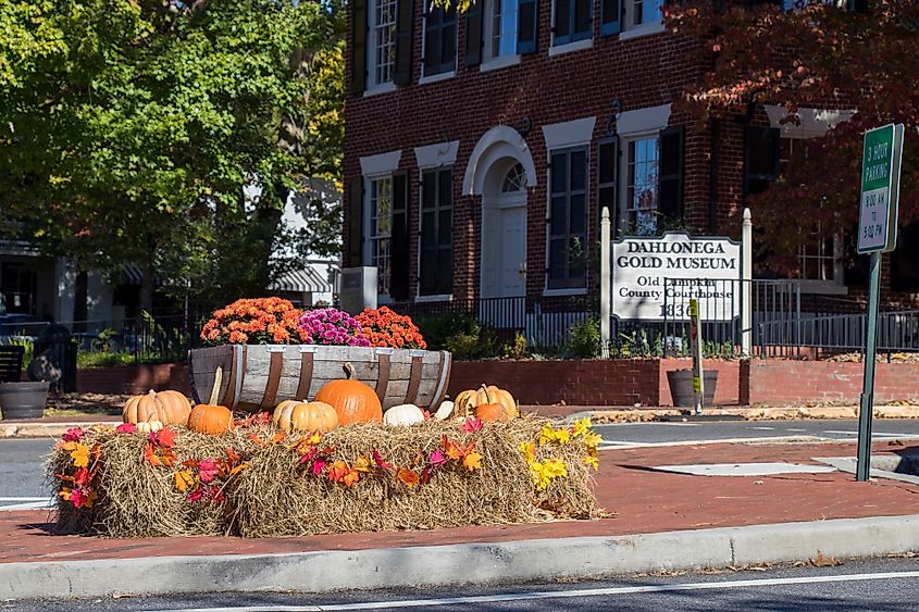 Displays of haybales with pumpkins and potted mums add seasonal color to the public square in front of Dahlonega Gold Museum