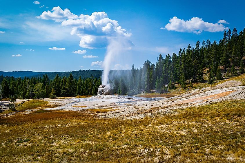 A distant view of Lone Star Geyser, Yellowstone National Park
