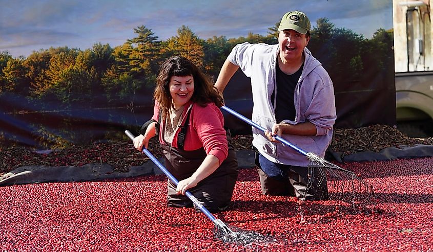 Couples at Warrens Cranberry Festival.