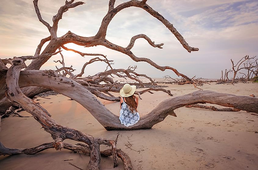 A woman sits on a weathered tree on the beach of Jekyll Island.