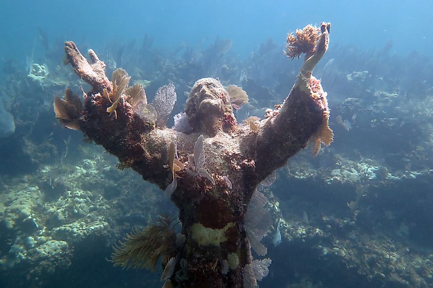 Christ of the Abyss in John Pennekamp State Park off Key Largo, Florida