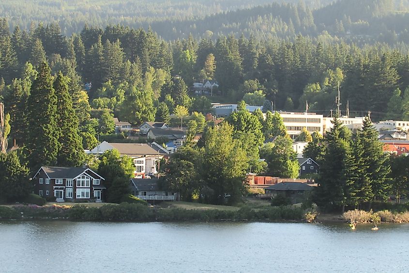 Scenic view of Stevenson, Washington, featuring residential homes, lush green trees, and a peaceful waterfront against a backdrop of forested hills.