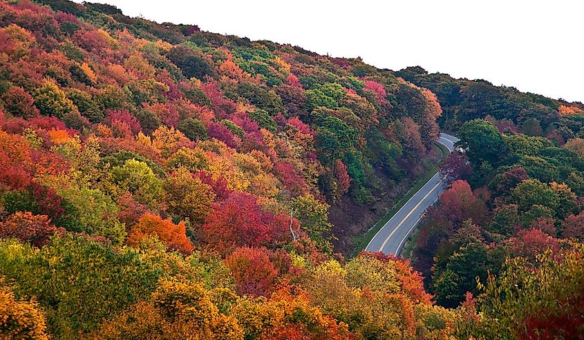 Cherohala Skyway