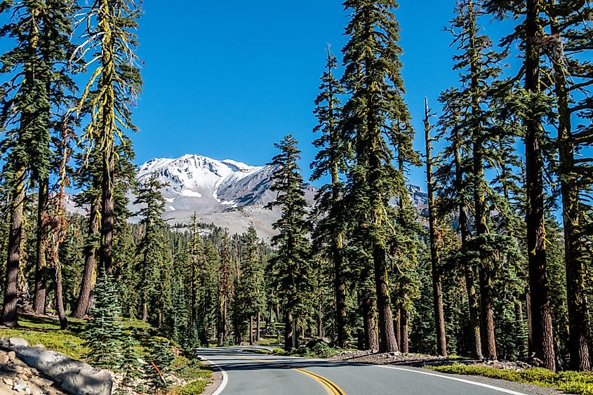 Shasta-Trinity National Forest and landscapes