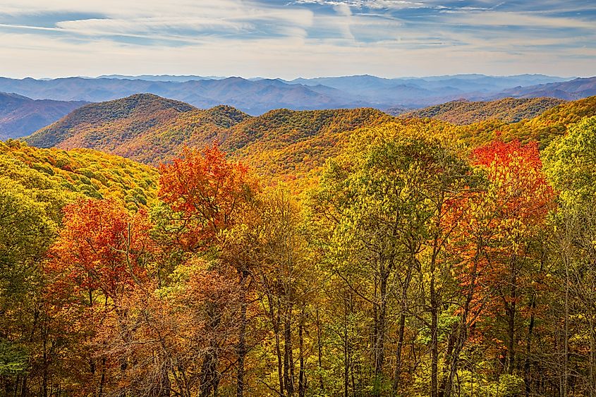 Great Smoky Mountains National Park during autumn.