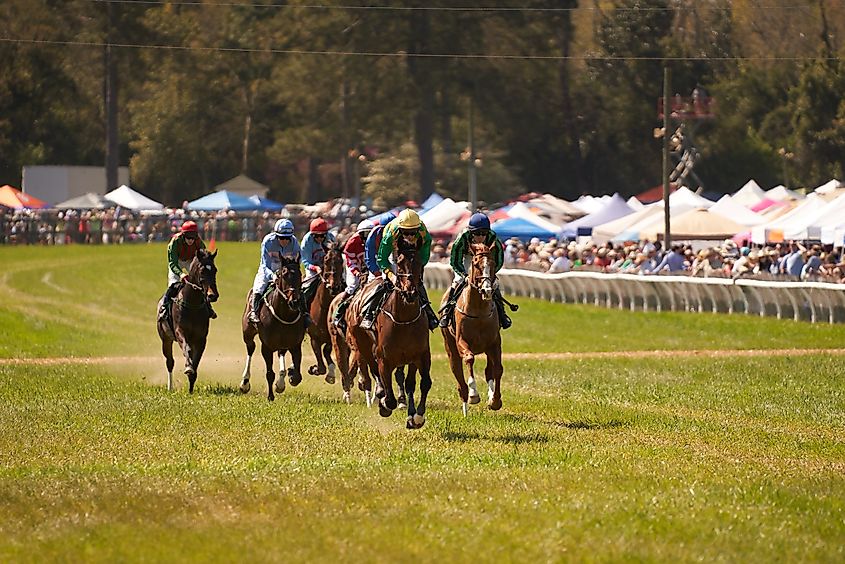 Aiken Spring Steeplechase in Aiken, South Carolina.