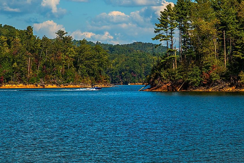 A powerboat moving across the Watauga Lake.