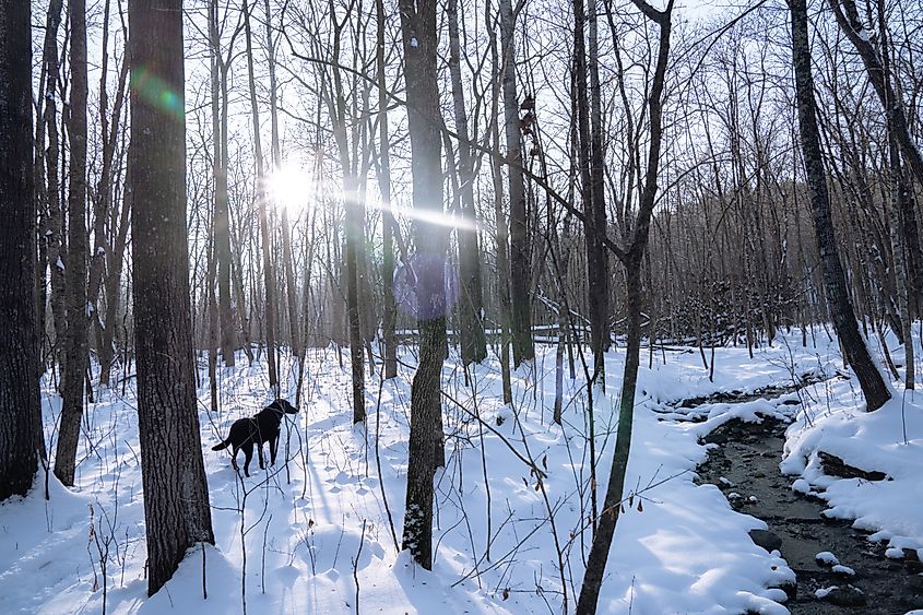 William O'Brien State Park near Scandia, Minnesota.