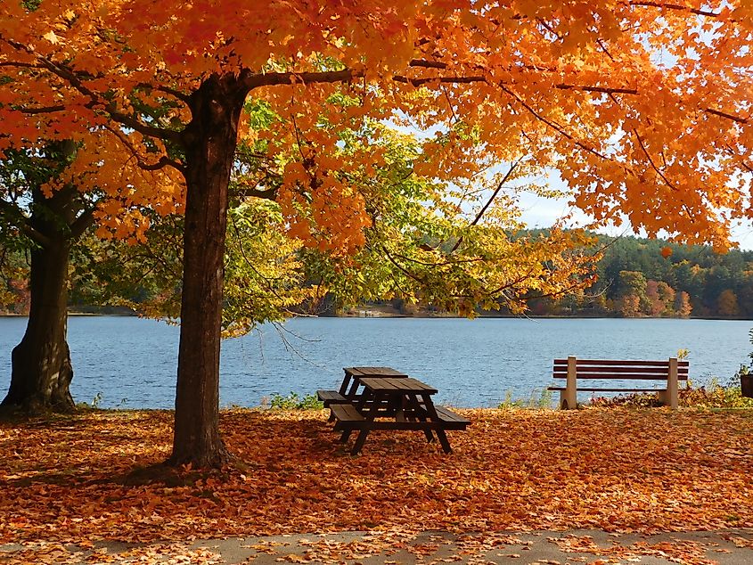 Woodstock, Connecticut. In Wikipedia. https://en.wikipedia.org/wiki/Woodstock,_Connecticut By ML.Nature.Photo - Own work, CC BY-SA 4.0, https://commons.wikimedia.org/w/index.php?curid=95289604