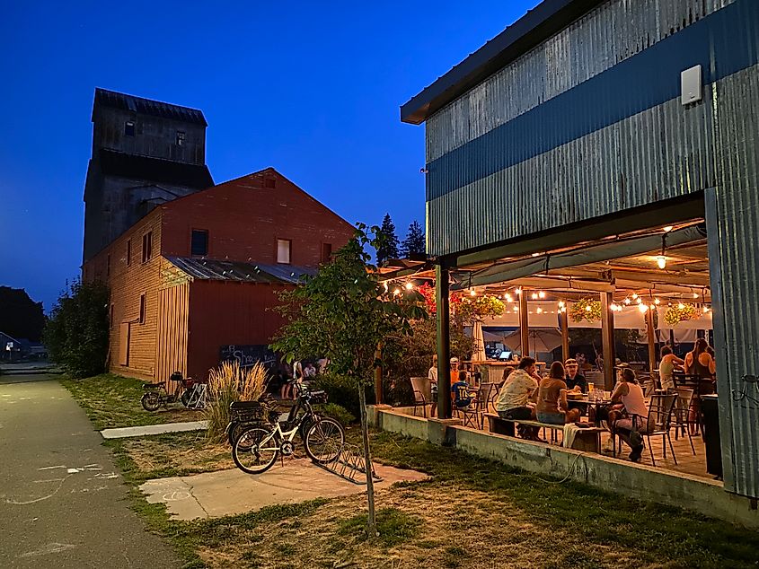 A popular evening at an open-air brewery. A grain silo stands in the background.