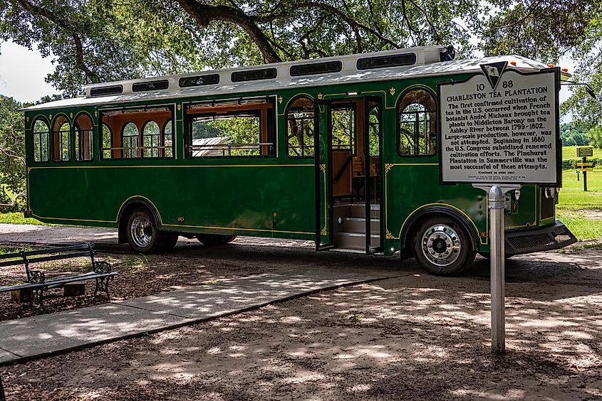 A photo of the green trolley that takes visitors around the Charleston Tea Plantation.