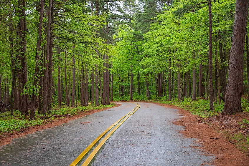 The Winding Road at Talimena Scenic Drive, National Scenic Byway