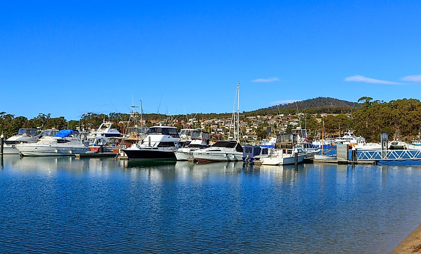 The marina at St. Helens, Tasmania, Australia.