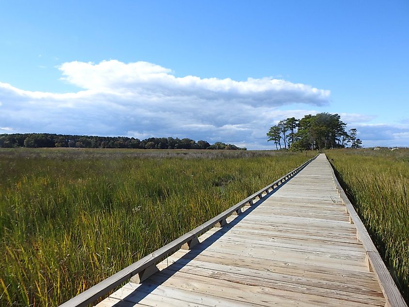 Eastern Neck National Wildlife Refuge, Kent County, Rock Hall, Maryland.