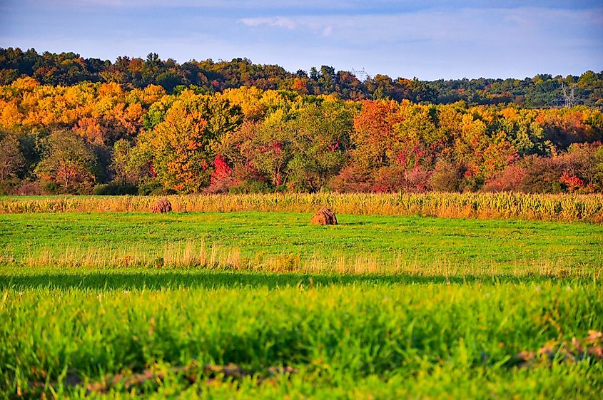 Fall Colors in Wadsworth, Ohio