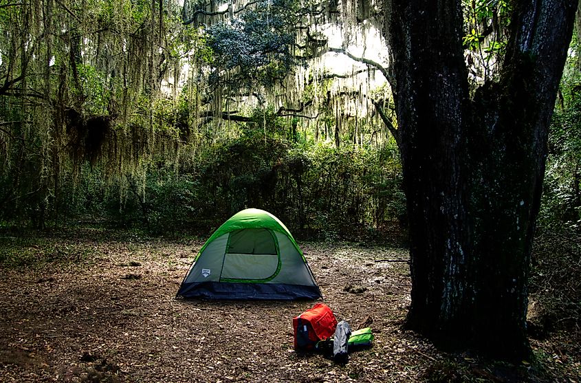 Camping in St. Marys, Georgia