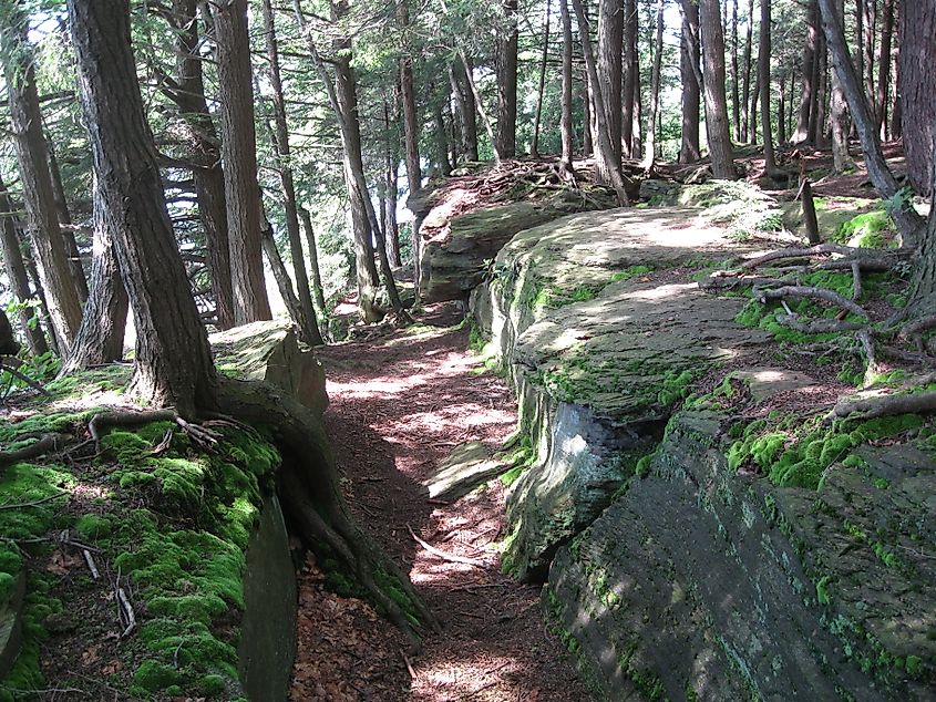 Path around the lake at Eagles Mere Historic District