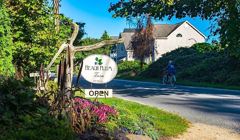 Bicycling by the Beach Plum Farm Entrance Sign, Cape May, New Jersey.