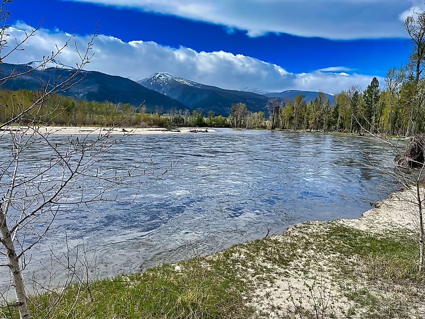Spring on the Bitterroot River in Hamilton, Montana.