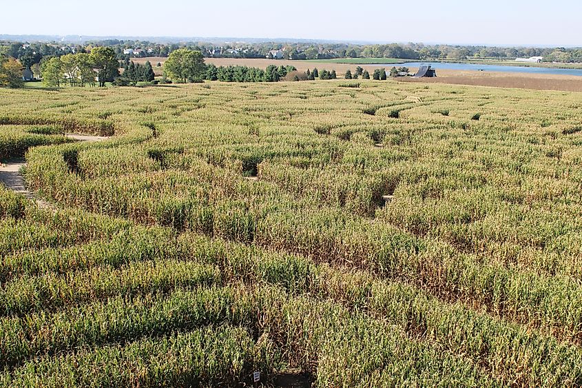 Richardson Adventure Farm in Spring Grove, Illinois.