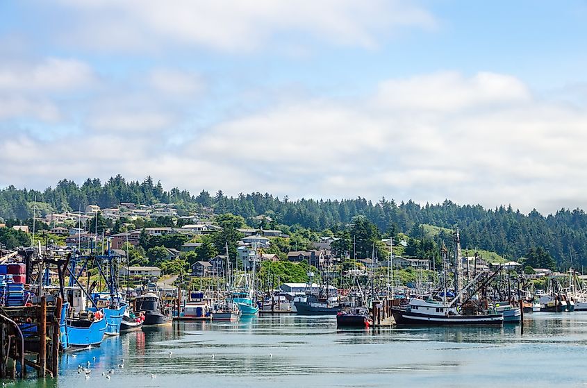 Newport, Oregon: Boats and houses in Yaquina Bay.