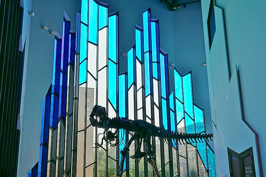 Museum at Prairiefire