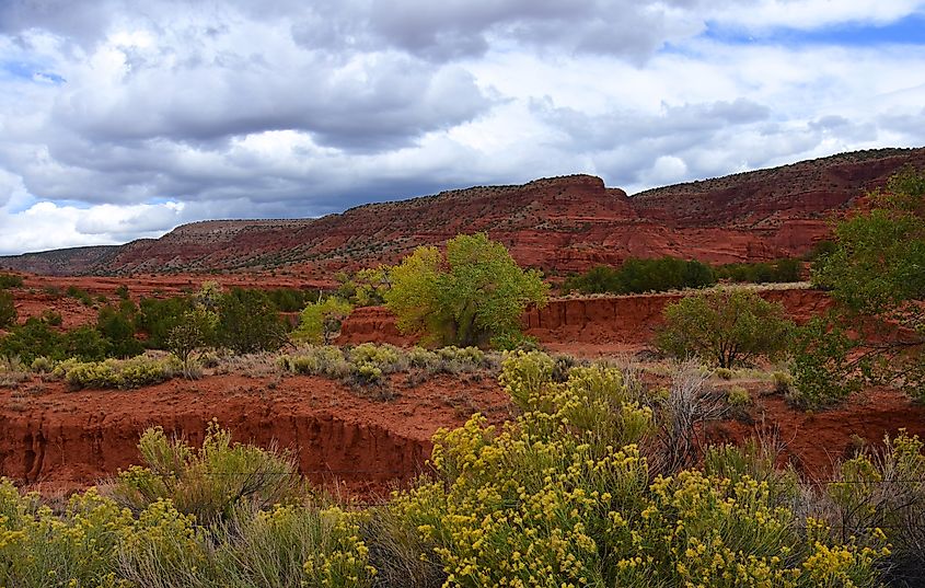 Jemez National Recreation Area in Jemez Springs, New Mexico